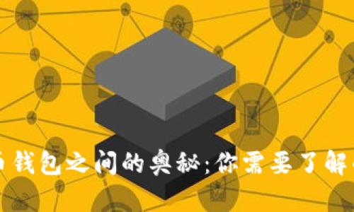 比特币钱包之间的奥秘：你需要了解的一切