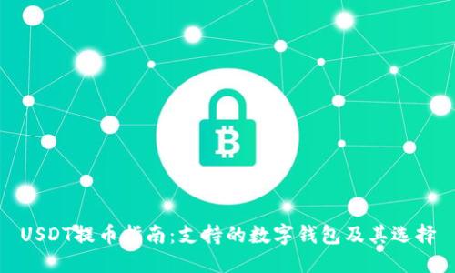 USDT提币指南：支持的数字钱包及其选择