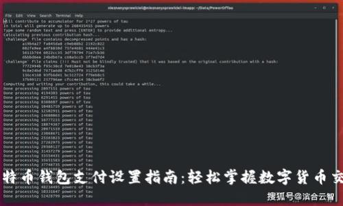 比特币钱包支付设置指南：轻松掌握数字货币交易
