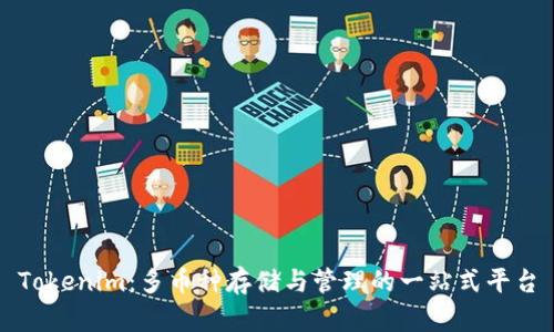 Tokenim：多币种存储与管理的一站式平台