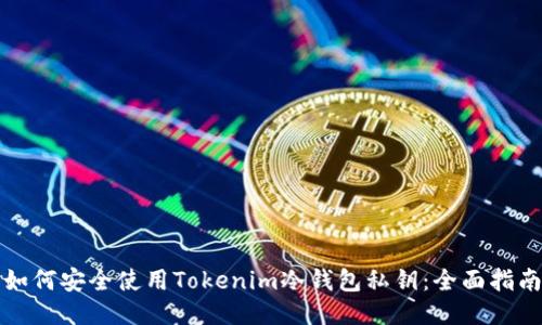 如何安全使用Tokenim冷钱包私钥：全面指南