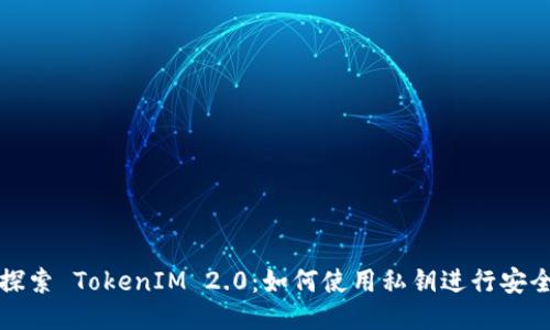 深入探索 TokenIM 2.0：如何使用私钥进行安全管理