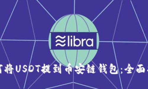 如何将USDT提到币安链钱包：全面指南