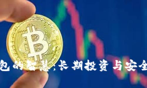 比特币存放钱包的智慧：长期投资与安全管理的全攻略