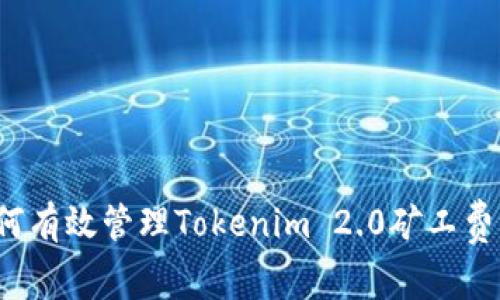 如何有效管理Tokenim 2.0矿工费用？