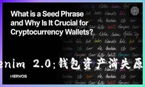 深入解析Tokenim 2.0：钱包资产消失原因及解决方案