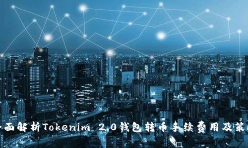 全面解析Tokenim 2.0钱包转币手续费用及策略