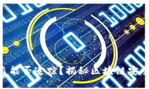 Tokenim被盗能否追踪？揭秘区块链安全与追踪技术
