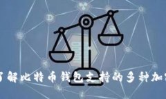 全面了解比特币钱包支持的多种加密货币