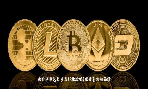 比特币钱包能查到IP地址吗？揭开真相的面纱