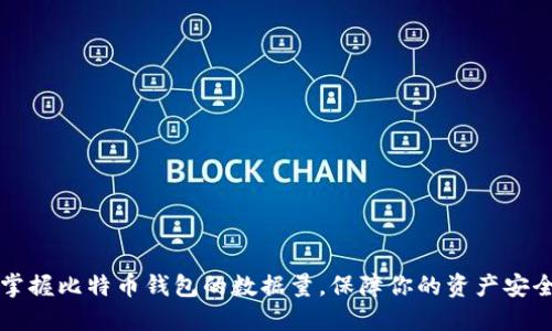 掌握比特币钱包的数据量，保障你的资产安全