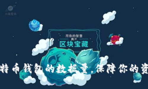 掌握比特币钱包的数据量，保障你的资产安全