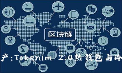 轻松管理你的数字资产：Tokenim 2.0热钱包与冷钱包监控的实用指南