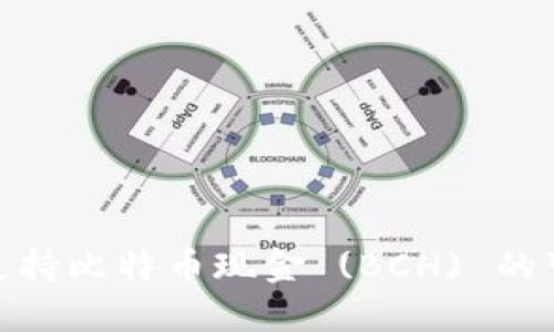 探索以太坊钱包支持比特币现金 (BCH) 的可能性与实用价值