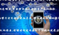 龙币（Tokenim 2.0）是基于