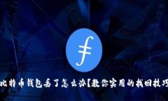 比特币钱包丢了怎么办？