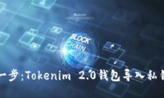 轻松一步：Tokenim 2.0钱包导入私钥指南