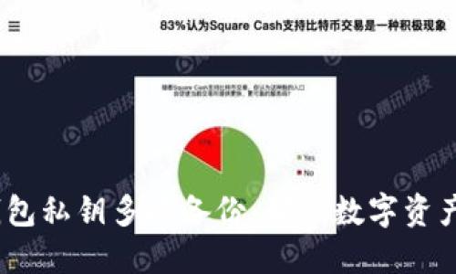 Tokenim 2.0 钱包私钥多次备份：确保数字资产安全的实用指南