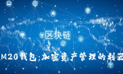 探索TokenIM20钱包：加密资产管理的利器与未来发展