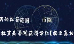 整合和关键词的标签“狗