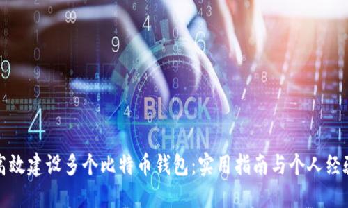 如何高效建设多个比特币钱包：实用指南与个人经验分享