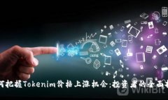 如何把握Tokenim价格上涨机会：投资者的全面指南