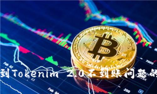 解决提币到Tokenim 2.0不到账问题的实用指南