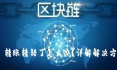 Tokenim 2.0 转账转错了怎么办？详解解决方案与应