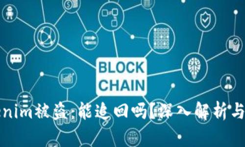 Tokenim被盗：能追回吗？深入解析与对策