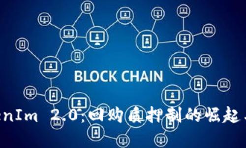 解读 TokenIm 2.0：回购质押制的崛起与未来展望