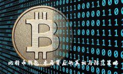  比特币钱包：木马背后的真相与防范策略