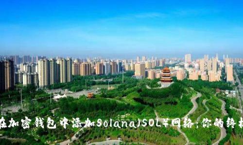 如何在加密钱包中添加Solana（SOL）网络：你的终极指南