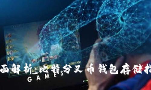 全面解析：比特分叉币钱包存储指南