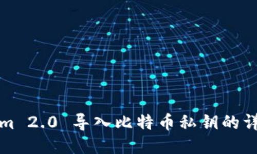 Tokenim 2.0 导入比特币私钥的详细指南
