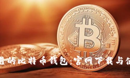 安全可靠的比特币钱包：官网下载与使用指南