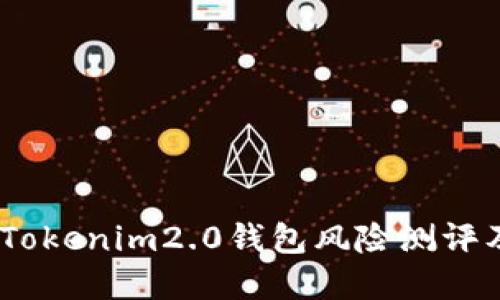 深入解读：Tokenim2.0钱包风险测评及安全策略