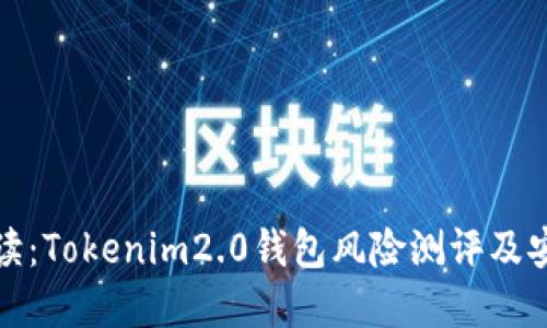 深入解读：Tokenim2.0钱包风险测评及安全策略